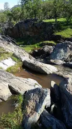 gold camping.webp