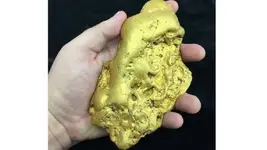 gold.webp