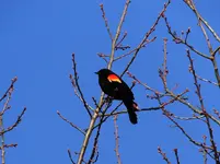 DSCN0386.webp