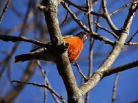 DSCN0390.webp
