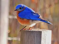 DSCN0356.webp