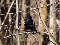 DSCN0436.webp