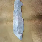 1462581461593.webp