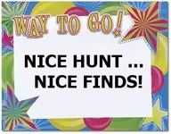 niceWAY- TO-GO.webp