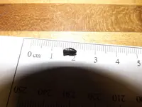 odd tooth 1 003.webp