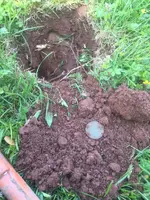 ImageUploadedByTreasureNet.com1463099981.409655.webp
