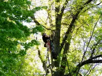 DSCN1135.webp
