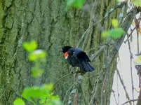 DSCN1140.webp