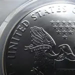 eagle 003_crop.webp