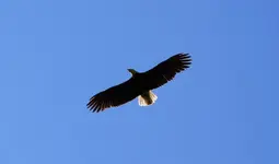 DSCN1160.webp