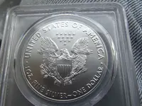 eagle 007.webp