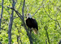 DSCN1157.webp