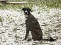 snow 050116.webp