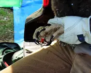 DSCN1170.webp