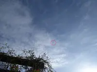 power glider 1.webp