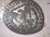 1901 Dollar rev.webp