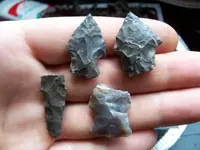 100_0315.webp