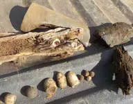 DSCN2729.webp