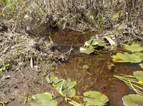 DSCN2723.webp