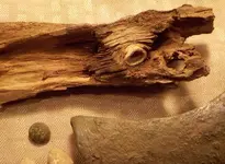 DSCN2764.webp