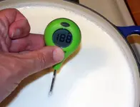 Ricotta 2.webp