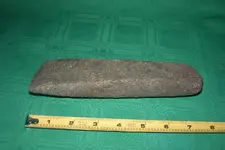 clam find 001.webp
