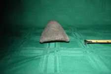 clam find 011.webp