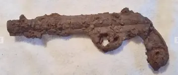 gun2.webp