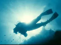 Scubahermit-end.webp