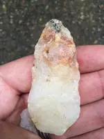 ImageUploadedByTreasureNet.com1462644486.140054.webp