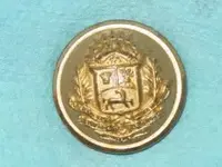 button venezuela.webp