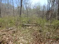 P4300334.webp