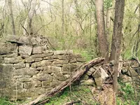 image.webp