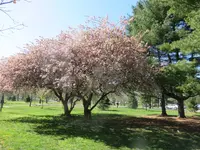 IMG_3665.webp IMG_3665.webp