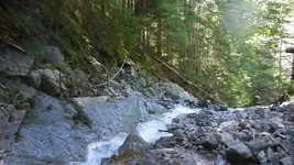 copper1.webp