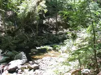 168_6838.webp