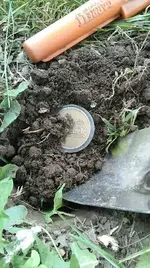 526 Odd Find.webp