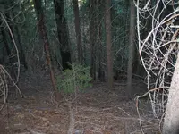 163_6360.webp