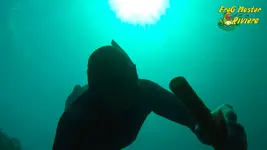 garrette-free-dive6.webp