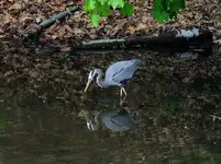 DSCN1005.webp