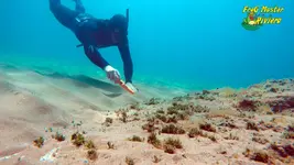 garrette-free-dive9.webp