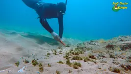 garrette-free-dive10.webp