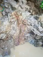 1463617073650.webp