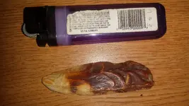 20160518_174917.webp