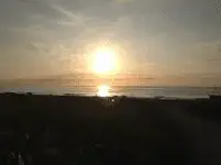 05-13-16 a.m. Delray2.webp