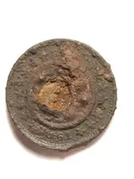 ImageUploadedByTreasureNet.com1460165213.457088.webp