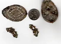 brooch.webp