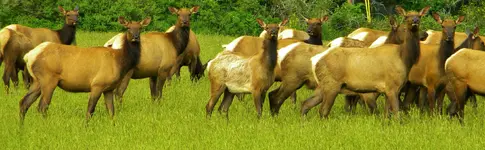 DSCN0174.webp