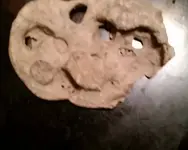 13271421_1028986883805834_410527245_o.webp