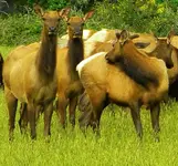 DSCN0176.webp
